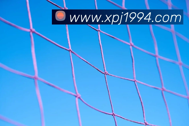 数据防护可视化